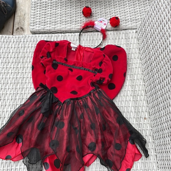 🐞 KIDS Ladybug Costume Dress and Headband Size 3T - Picture 1 of 13